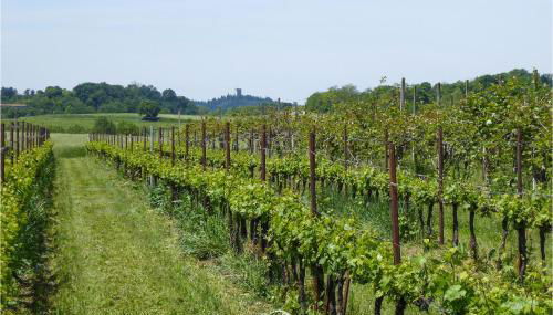 Nice Home In Marano Di Valpolicella - Photo 4