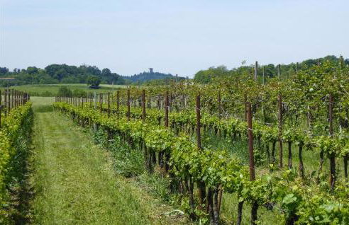 Amazing Apartment In Cavriana - Foto 20