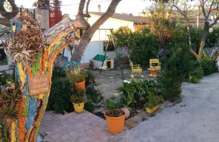 Zagara di Sicilia - Foto 132