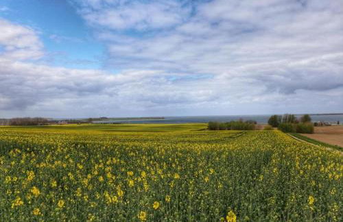 Bungalow in Boiensdorf for 4 Person - Foto 73