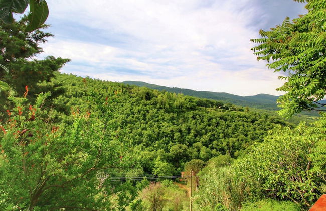 Farmhouse in Cortona With Pool - Foto 39