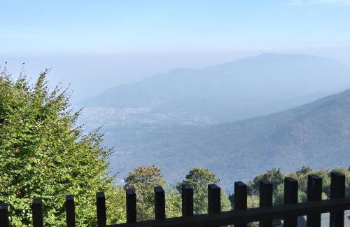 Panoramic Eagle - Photo 29