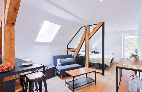 Appartements Les Vosges - Foto 31