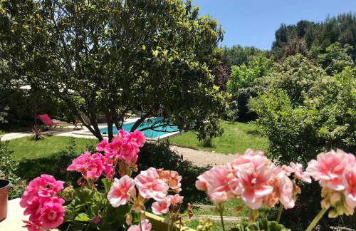 La belle histoire Gîte Ventoux - Foto 27