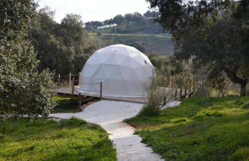 Herdade Ribeira de Borba - Foto 36