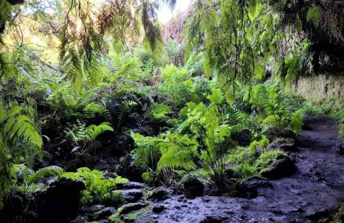 Adega do capitao - Foto 17