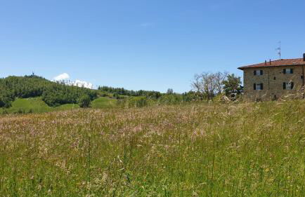 Agriturismo Il Casone - Photo 11