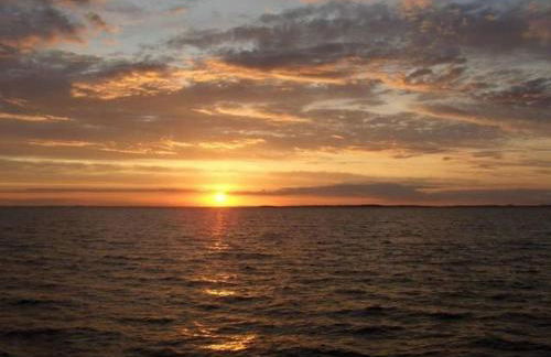 Holiday apartment in Zirchow with barbecue - Foto 15