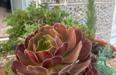 Apartamento Fortaleza - Foto 31