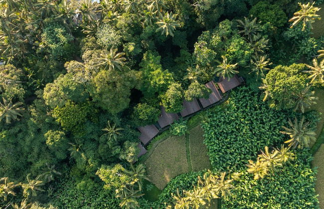Sacred Canyon Ubud by GenuineHost - Foto 45