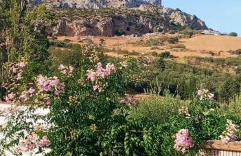 Casa Rubito el Olmo - Foto 52