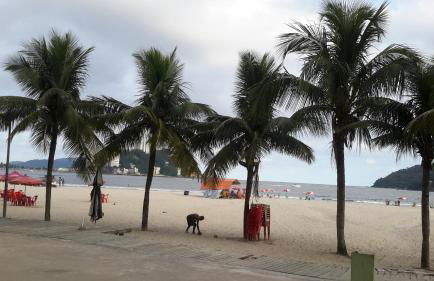 Apto frente ao mar, ar cond. frio e Wi-Fi - Foto 52