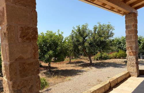 Domus Veretum - Foto 10