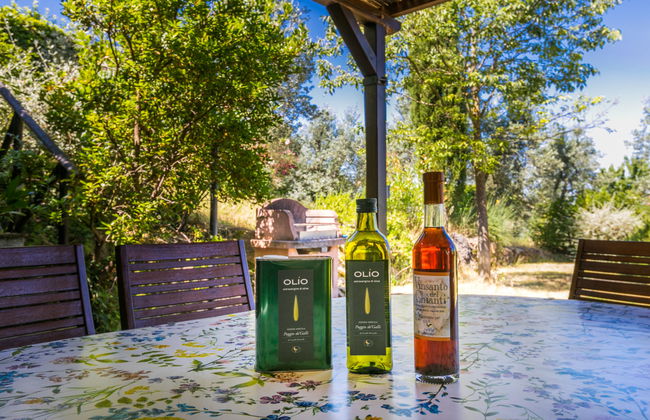 Poggio de'Galli - Foto 42