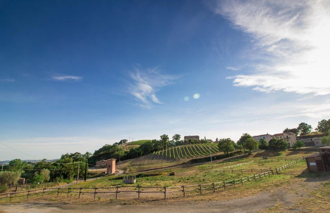 Bio Agriturismo Poggio Aione - Foto 56