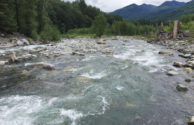 16GS - Hot Tub - BBQ - Pets Ok - Sleeps 2 - Foto 72