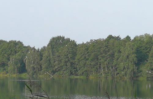 Doberschützer Hof - Foto 48