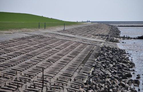 Op Lundingland - Photo 10