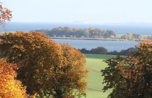 Reethus Stöfs - Foto 28