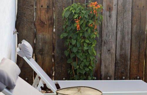 Vale D Sancho Eco Turismo - Foto 69