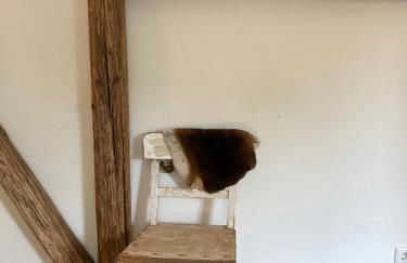 NEUES GESINDEHAUS (Rittergut Oelzschau b. Leipzig) - Foto 6