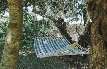 Green Ville - Foto 58