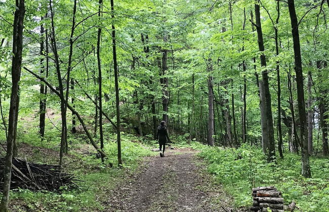 Pine Brae Eco-Resort - Photo 38