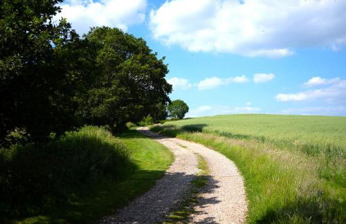 Hell Fyre 1594 by inspirestays-com - Photo 29