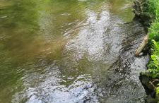 Dom & SPA nad Rzeką - Foto 15