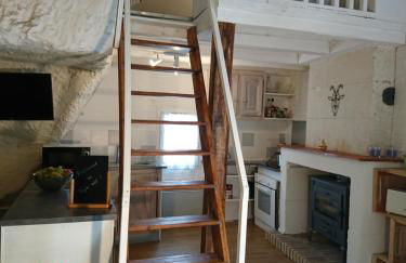 Les Gîtes des Châteaux, gîtes troglodytiques - Foto 60