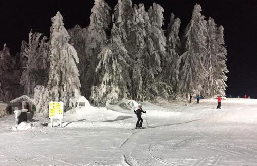 Waldheimat - Photo 33