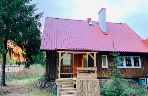 Igły i szyszki - Foto 16