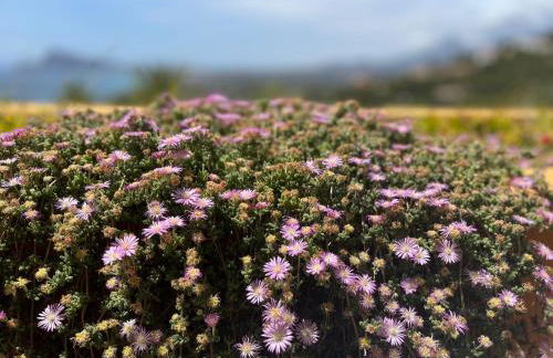 Stunning penthouse with sea view in Altea Hills - Photo 50