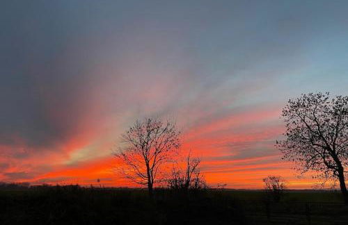 Ferienwohnung an der Elde - Foto 42