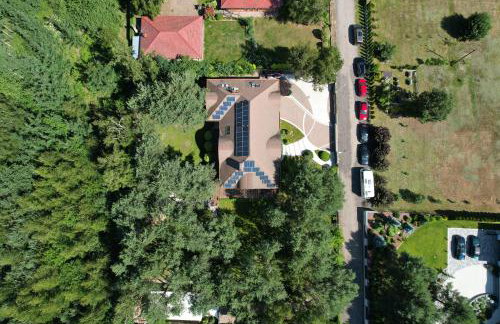 Modra Sikorka - Foto 50