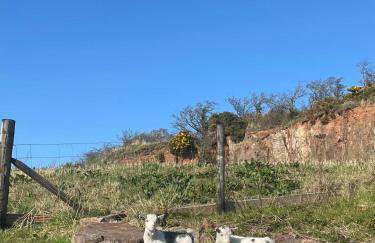 Glens glamping - Foto 14