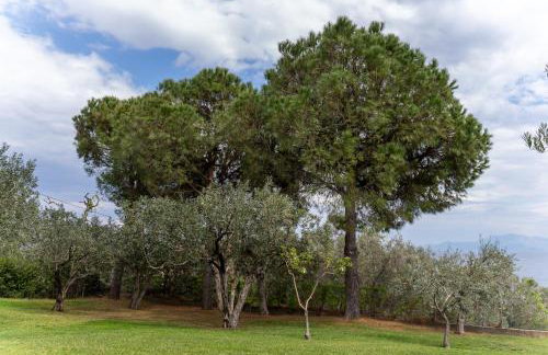 Villa Elia Kavala - Mediterranean Holiday Villa - Foto 40