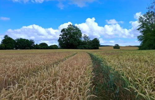 Apartments Blue House, Putbus - Foto 24