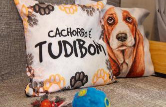 Bom pra Cachorro - Foto 10