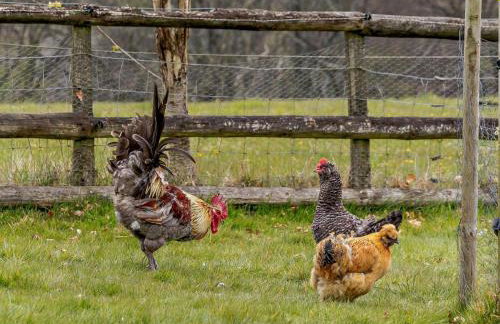 3 Bed in Monmouth oc-52149 - Foto 23