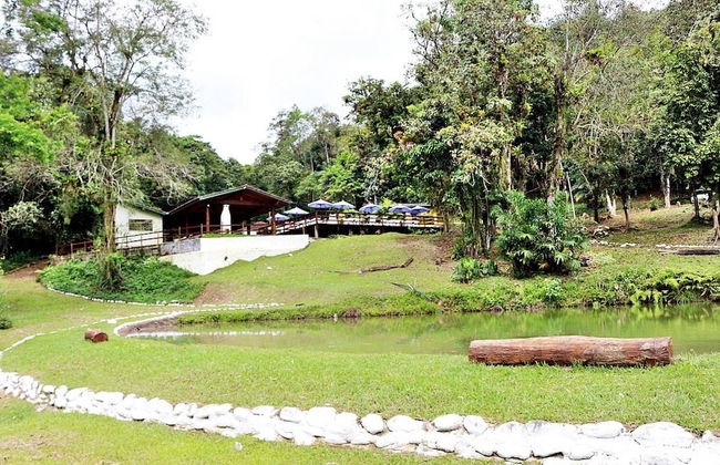 Eco Chalés Luar das Marés - Foto 47