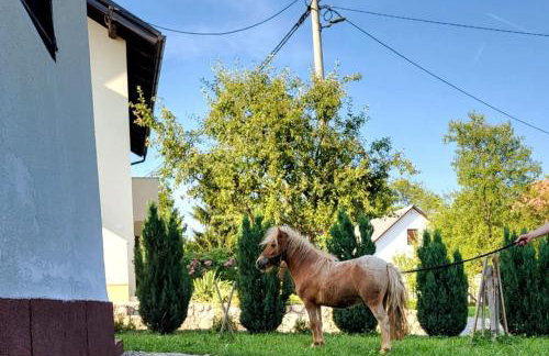 Apartment Dado - Foto 37