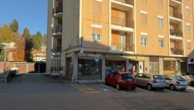 Genzianella - Foto 4