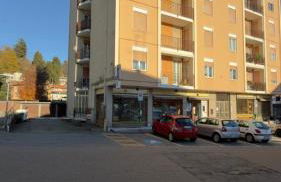 Genzianella - Foto 4