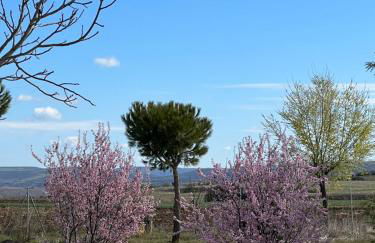 Espacio Shangrila.One - Foto 69