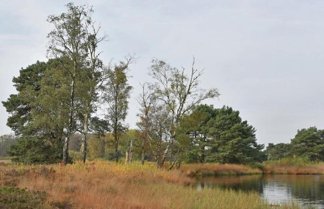 Holiday Home in Geesteren With Roof Terrace,garden Furniture - Photo 76