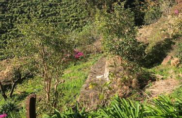 Flores Garden Retreat - Foto 33