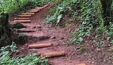 Ferienwohnung Schlabbeflicker Pirmasens - Foto 3