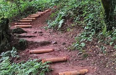 Ferienwohnung Schlabbeflicker Pirmasens - Foto 3