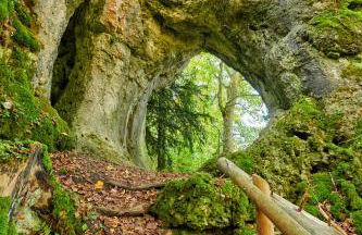 Ferienhaus Sylvia beim Waldrand - Foto 25